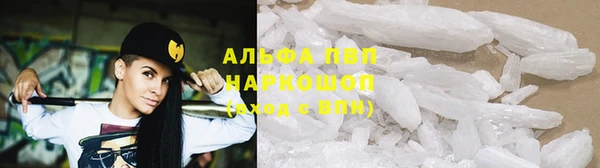 стафф Арсеньев