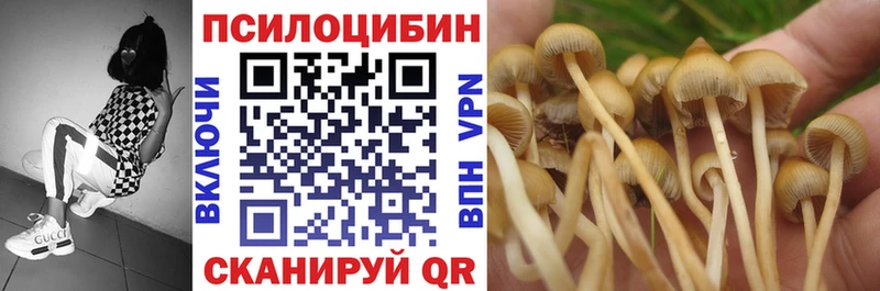 площадка клад  купить  цена  Покровск  Галлюциногенные грибы GOLDEN TEACHER 